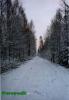 Нажми для просмотра photo_1444_t1.jpg
