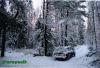 Нажми для просмотра photo_1445_t1.jpg