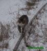 Нажми для просмотра photo_1544_t1.jpg
