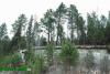Нажми для просмотра photo_2638_t1.jpg