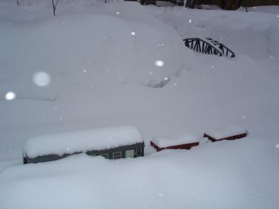 dsc05180.jpg
