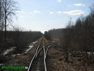 206.jpg