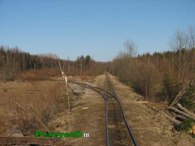 215.jpg