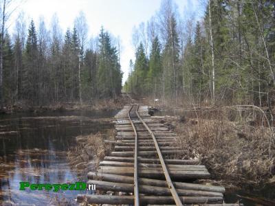 230.jpg