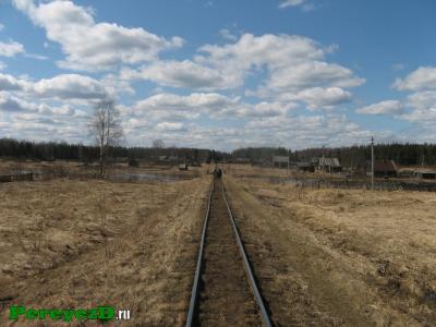 234.jpg