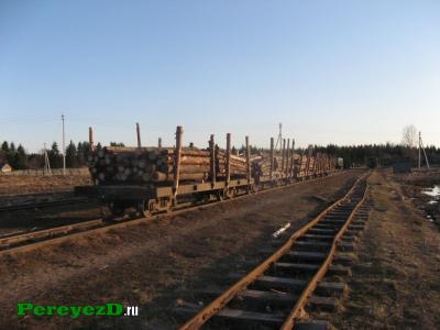 251.jpg