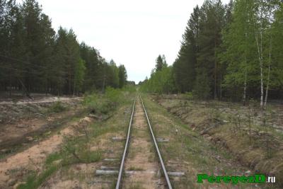 201.jpg