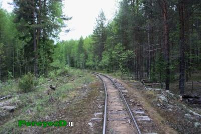 204.jpg