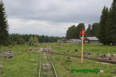 223.jpg