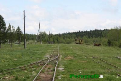 253.jpg