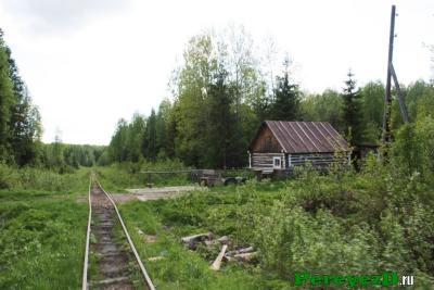 319.jpg