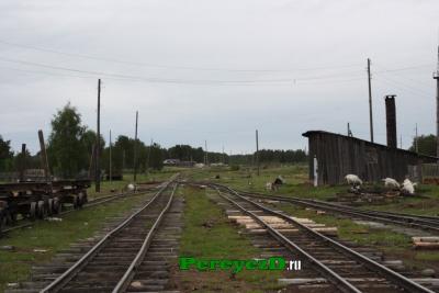 506.jpg