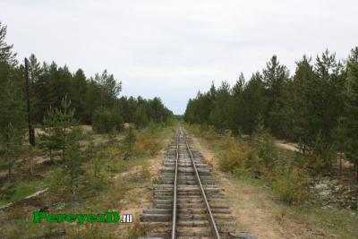 508.jpg