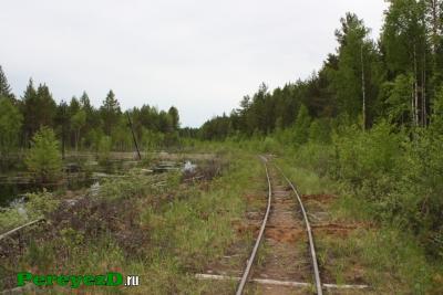 519.jpg