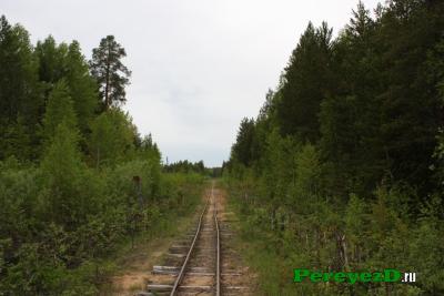 520.jpg