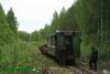 Нажми для просмотра 530_t1.jpg