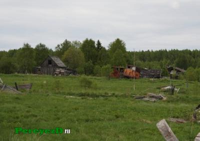 541.jpg