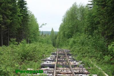 553.jpg