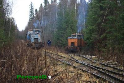 Костромская область якшанга карта