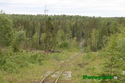 060.jpg