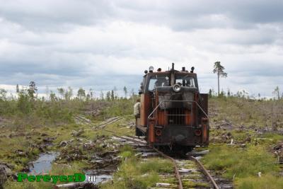 116.jpg