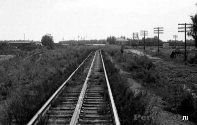 03-1.jpg