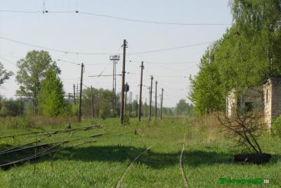 03.jpg