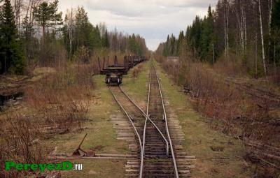 050.jpg