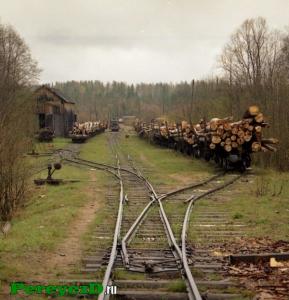 103.jpg