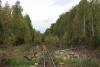 Нажми для просмотра 076_t1.jpg