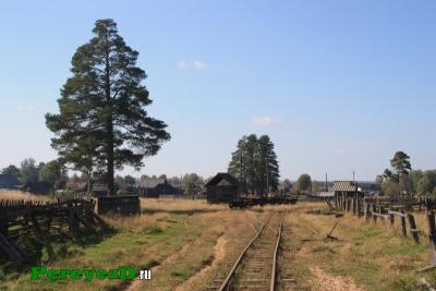 117.jpg