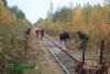 Нажми для просмотра 069_t1.jpg