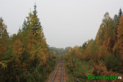 119.jpg