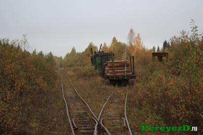 123.jpg