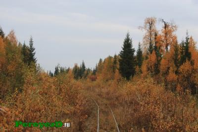 154.jpg