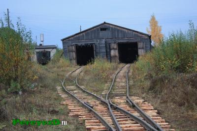 213.jpg