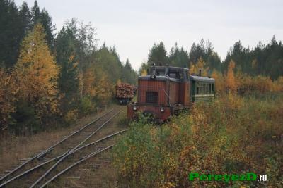 223.jpg