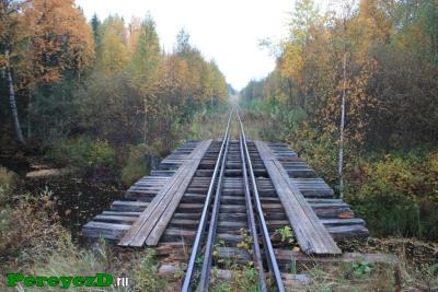 224.jpg