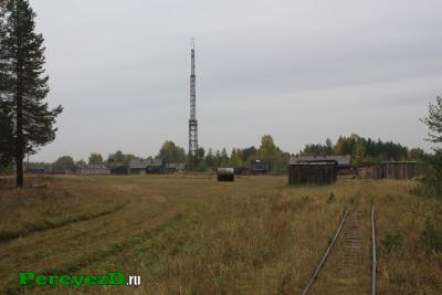 231.jpg