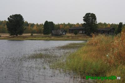 246.jpg