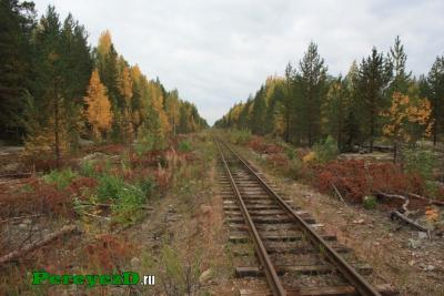 253.jpg