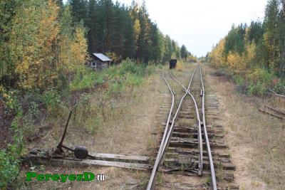 254.jpg