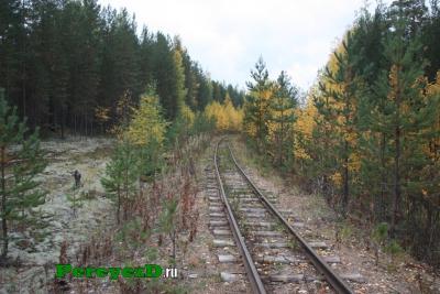 256.jpg