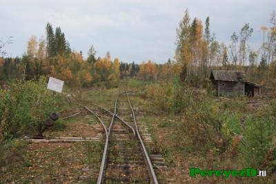 259.jpg