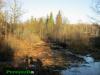 Нажми для просмотра img_0432_t1.jpg