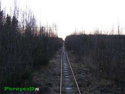 46.jpg