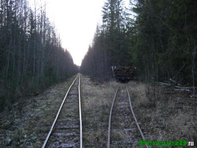 47.jpg