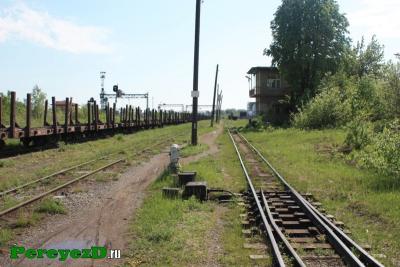 125.jpg