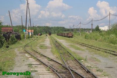 145.jpg
