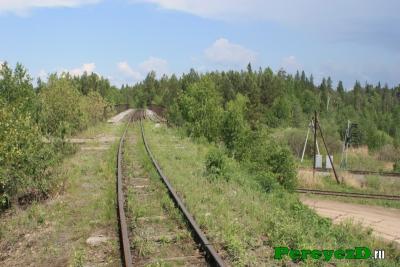 153.jpg